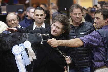 El presidente Javier Milei habla este domingo en la Expocición Rural de Palermo 2024
