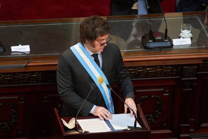 El presidente, Javier Milei, inauguró el período de sesiones ordinarias del Congreso Nacional. 