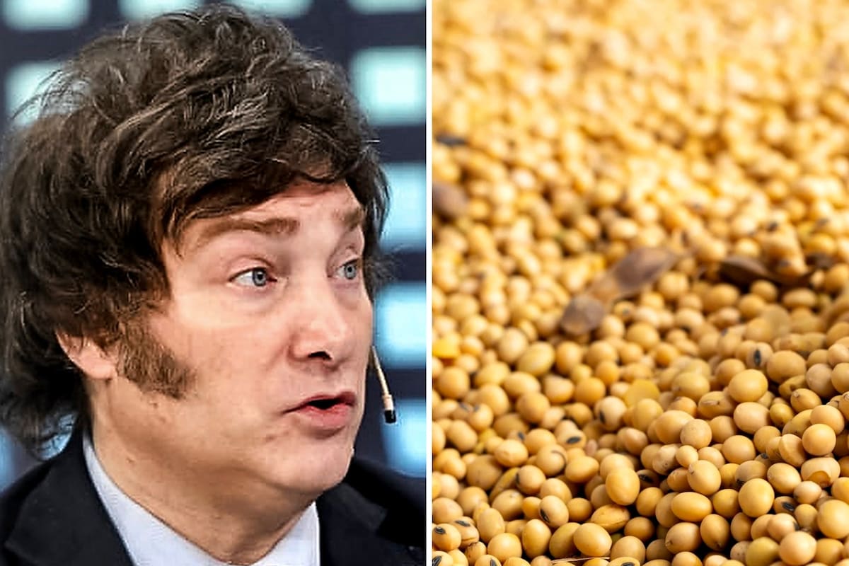 El presidente Javier Milei; la suba de la soja llevó la cotización a uno de los niveles más altos desde el inicio de su gobierno