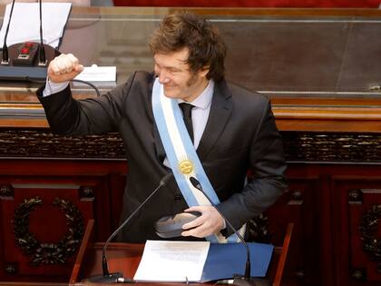 El presidente Javier Milei.
Rodrigo Néspolo/ Pool