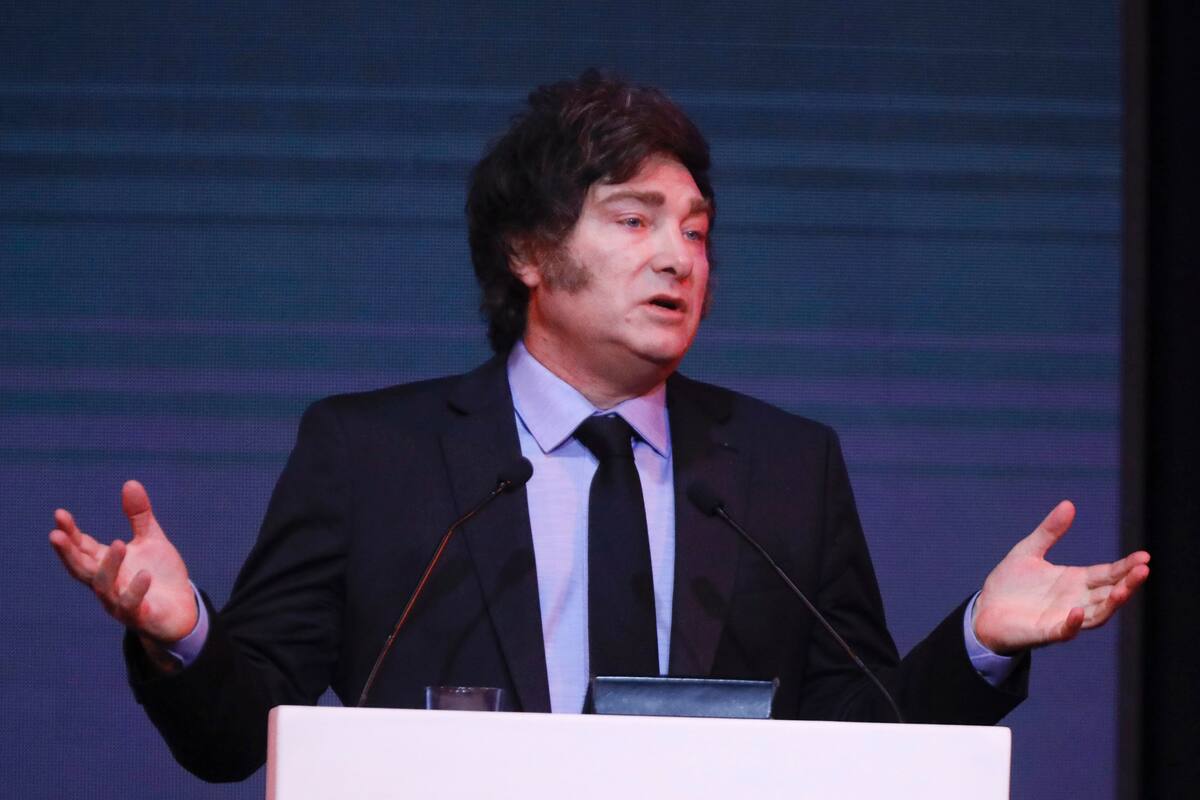 El presidente Javier Milei se refirió a la caída de ficha limpia en el Senado.