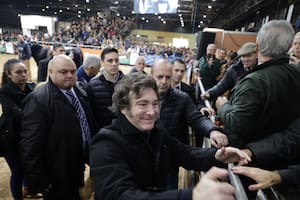 El presidente Javier Milei visitó ayer la exposición Angus en la Rural