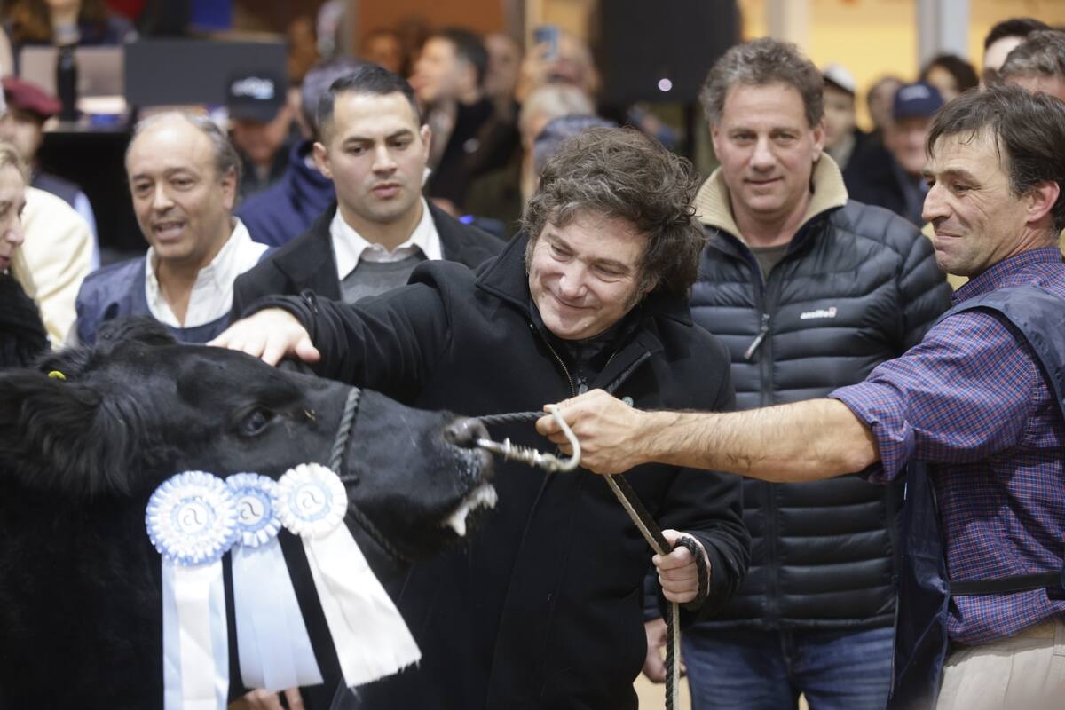 El presidente Javier Milei visitó, el año pasado, la exposición Angus en la Rural
