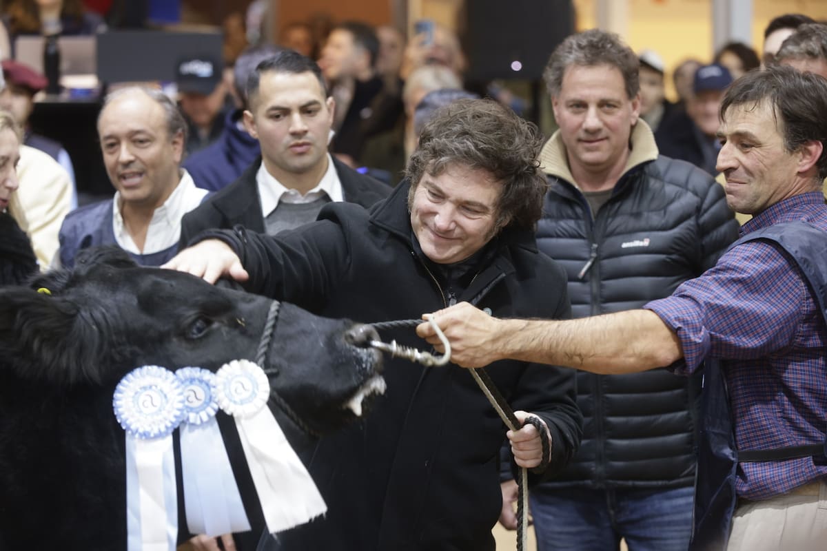 El presidente Javier Milei visitó la exposición Angus en la rural.