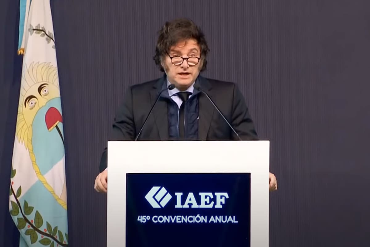 El presidente Milei en el IAEF