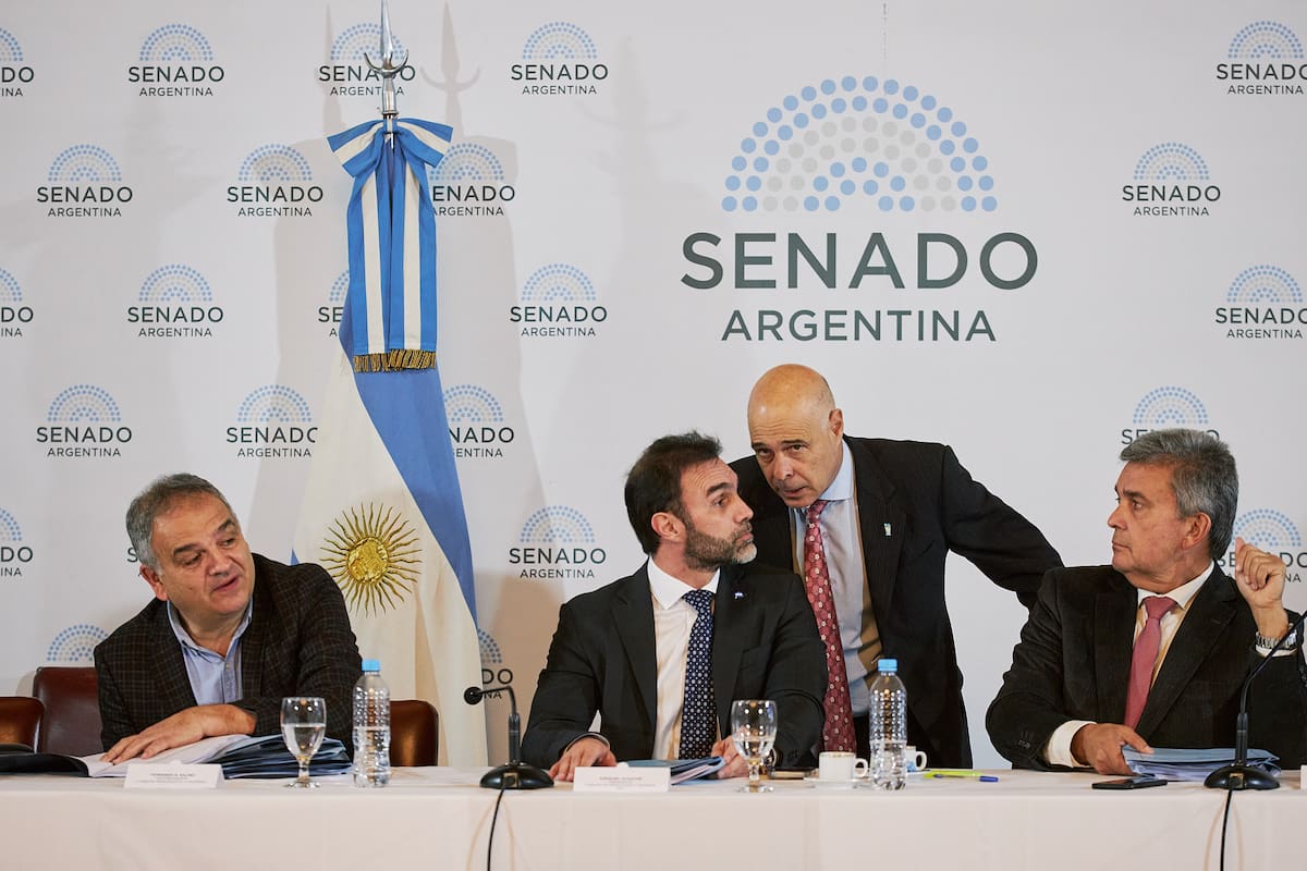 El presidente provisional del Senado, Bartolomé Abdala, y el jefe de la bancada libertaria, Ezequiel Atauche durante la reunión en comisión por el tratamiento del proyecto de Ley de Bases.