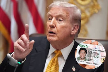 El presidente Trump impulsó durante su reciente discurso la Ley Dalilah que prohibiría que los estados emitan CDL a los inmigrantes indocumentados