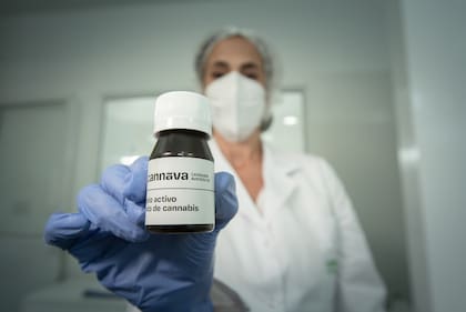 El primer aceite de cannabis íntegramente hecho en la Argentina saldrá de Cannavas en Jujuy.