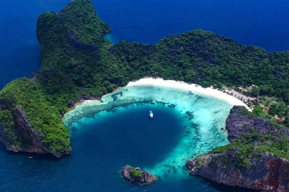 El primer descubrimiento al respecto de la existencia de esta ballena fue en 2003