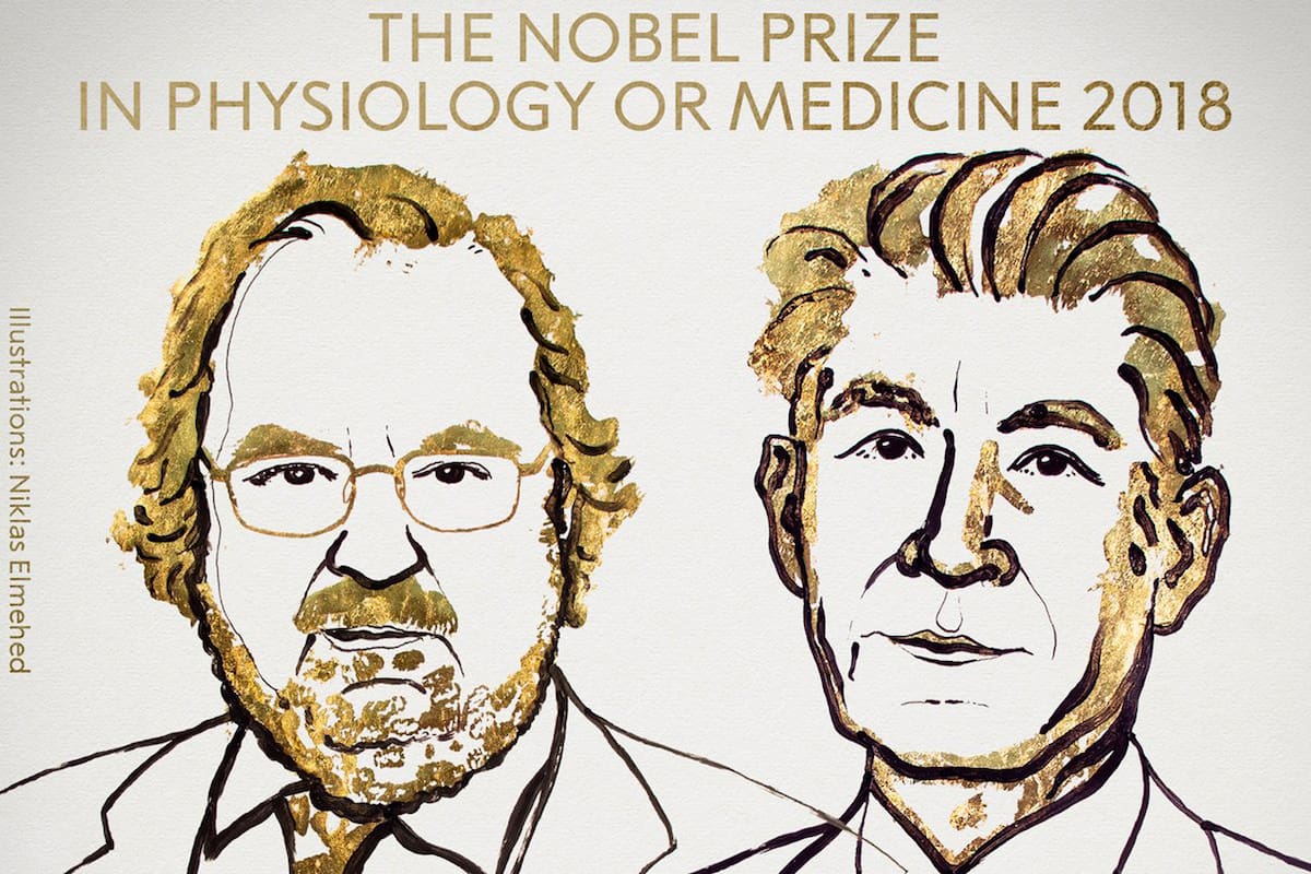 El primer galardón de la temporada es compartido entre dos especialistas por el desarrollo de la inmunoterapia contra el cáncer