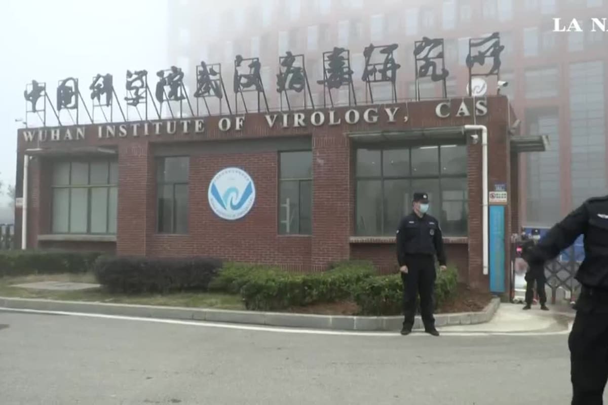 El primer informe OMS/China sobre el origen del Covid sugiere transmisión al hombre vía animal intermedio