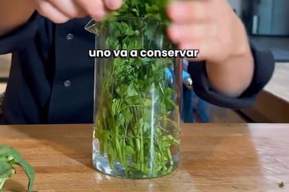 El primer método radica en tratar al perejil como si fueran flores