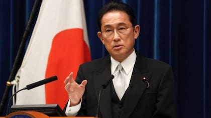 El primer ministro Fumio Kishida dijo que la crisis de la alergia al polen "no se resolverá de la noche a la mañana" (FOTO: GETTY)
