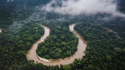 El primer "Parque Silvestre Silencioso" del mundo se encuentra en la selva amazónica de Ecuador