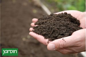 El primer paso para lograr el éxito en el jardín está en el suelo