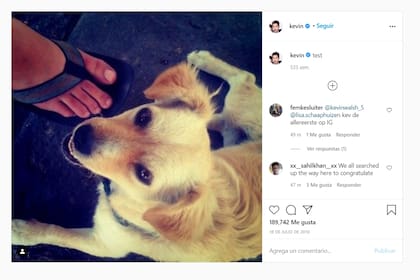 El primer posteo de Instagram, hace 10 años, dejó para la posteridad una foto de la perra de Kevin Systrom, el cocreador de la app