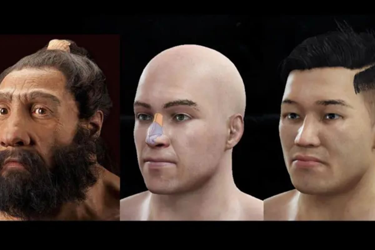 El primer rostro es la reconstrucción de un neandertal, hecha por John Gurche y exhibida en la Institución Smithsonian. El segundo y el tercero son hombres modernos, uno europeo y otro del este de Asia