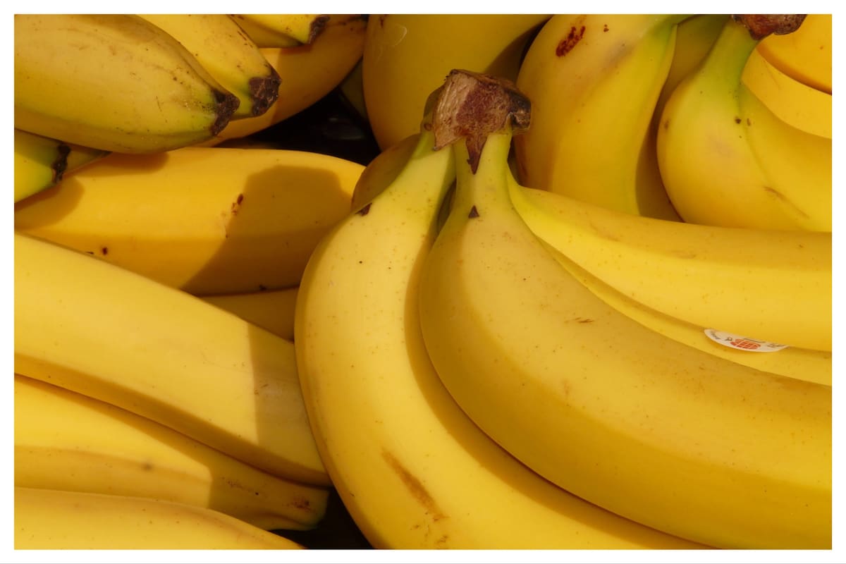 El principal inconveniente de las bananas es que tienden a deteriorarse rápidamente