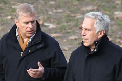 El príncipe Andrés fue fotografiado junto a Jeffrey Epstein en el Central Park, en diciembre de 2010 (Sky News)