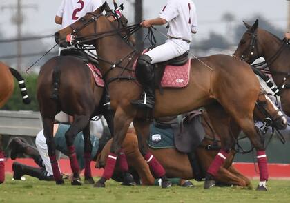 El príncipe Harry, de camiseta verde olivo, permanece de rodillas sobre el piso junto a su caballo (Crédito: Daily Mail)