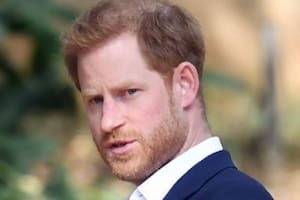 El príncipe Harry estaba furioso con la prensa durante la gira sudafricana en 2019