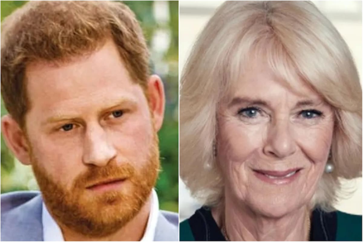 El príncipe Harry no perdonó e hizo una fuerte revelación sobre Camilla Parker Bowles (Foto: Harpo / Instagram @clarencehouse)