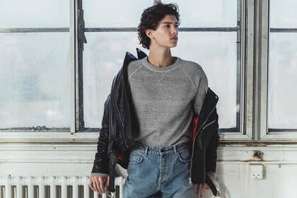 Nicolás de Dinamarca, un modelo real