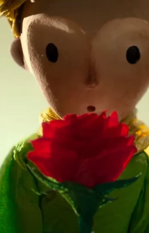 El principito y su rosa