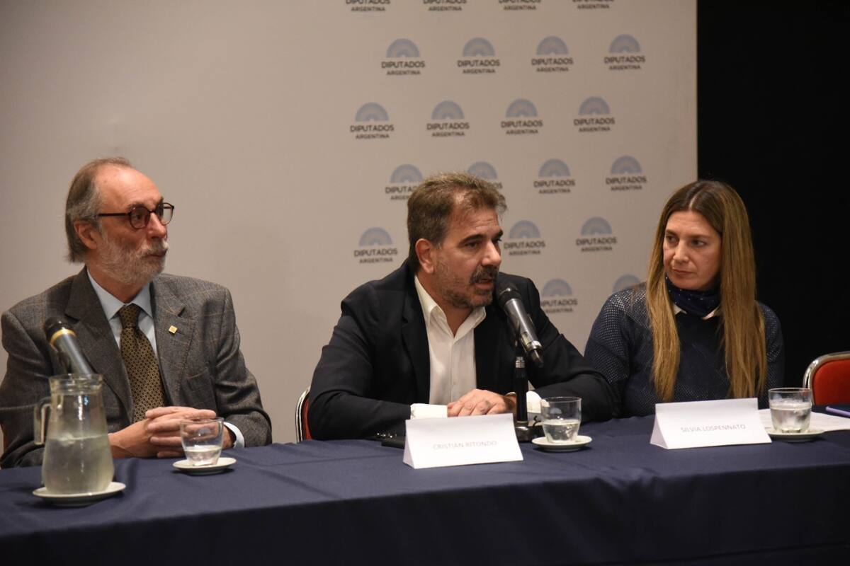 El Pro convocará a una sesión especial para tratar el proyecto