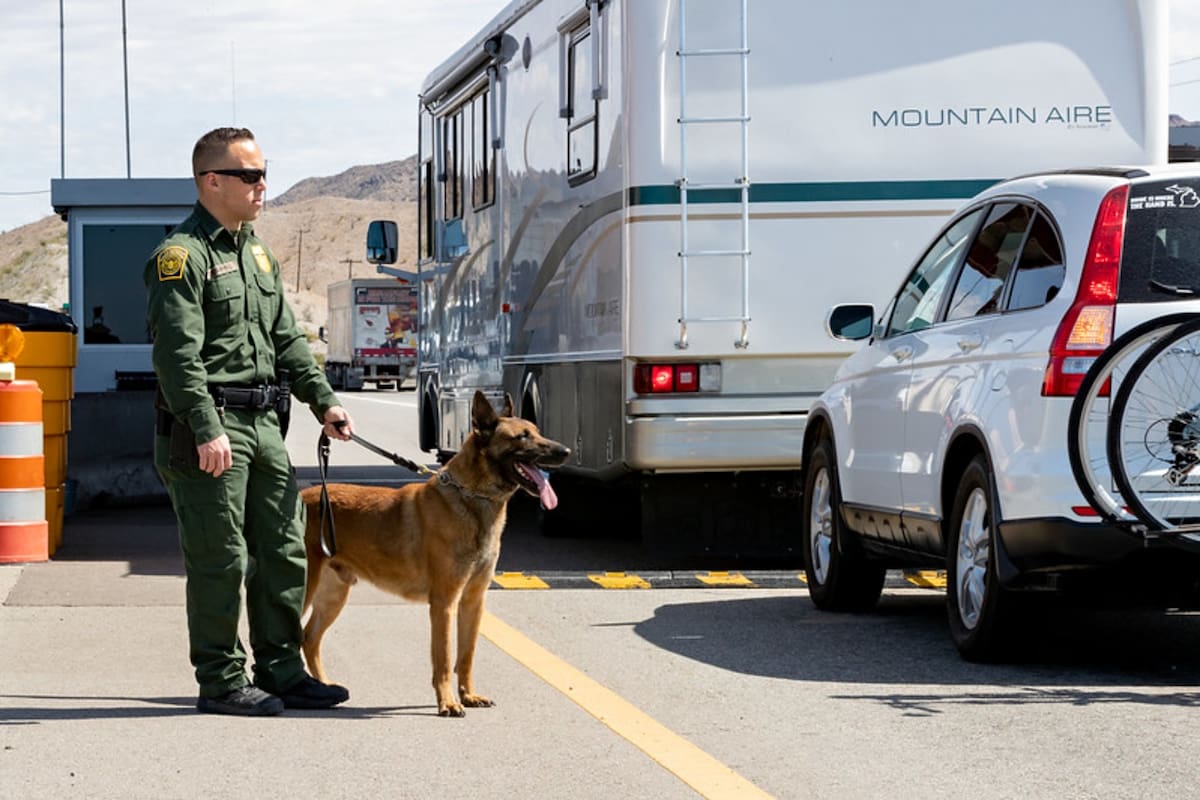 El procedimiento de la CBP en Texas descubrió miles de cartuchos de munición no declarados por el hombre que conducía el vehículo