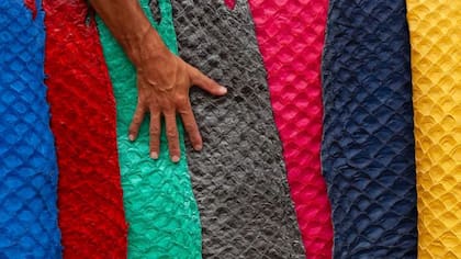 El procesamiento de las pieles de pescado para su uso en productos de moda incluye el lavado, el teñido y el secado