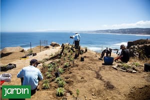 Un refugio en Chile que es modelo de conservación
