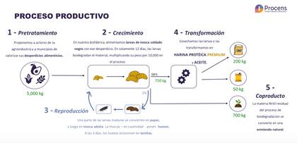 El proceso productivo de la harina de insectos