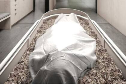 El proceso toma 30 días y ya es legal en el estado de Washington, EE.UU.