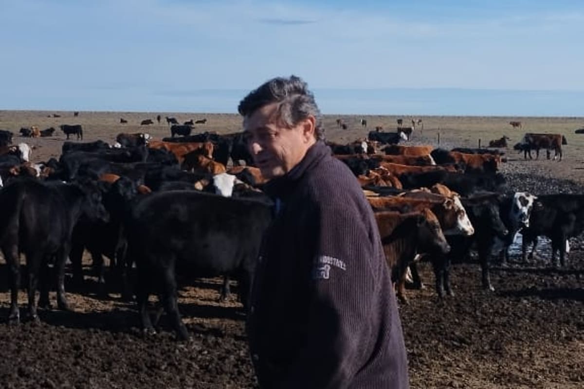 El producto ganadero Adolfo Senn