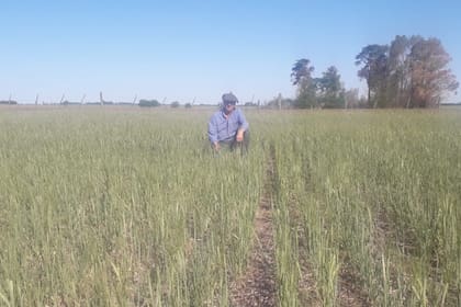 El productor agropecuario Gustavo Garbarini