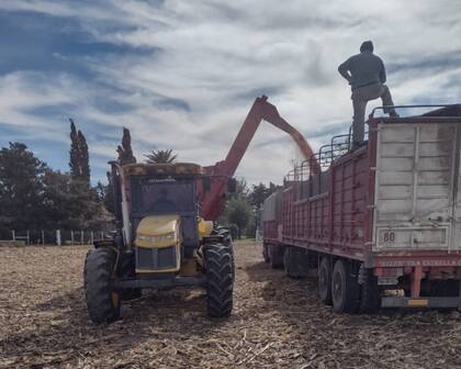 El productor agropecuario Sergio Ramello en Bell Ville