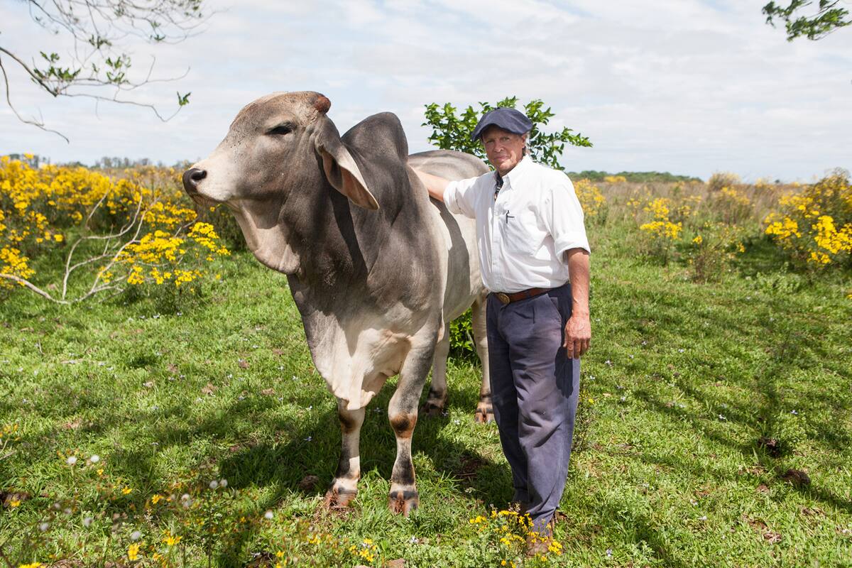 El productor Alfredo Haynes