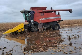 La hazaña de un productor para cosechar en medio del agua