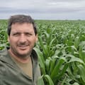 En la universidad se le despertó una curiosidad por la Patagonia, compró un campo y hoy logra supercultivos