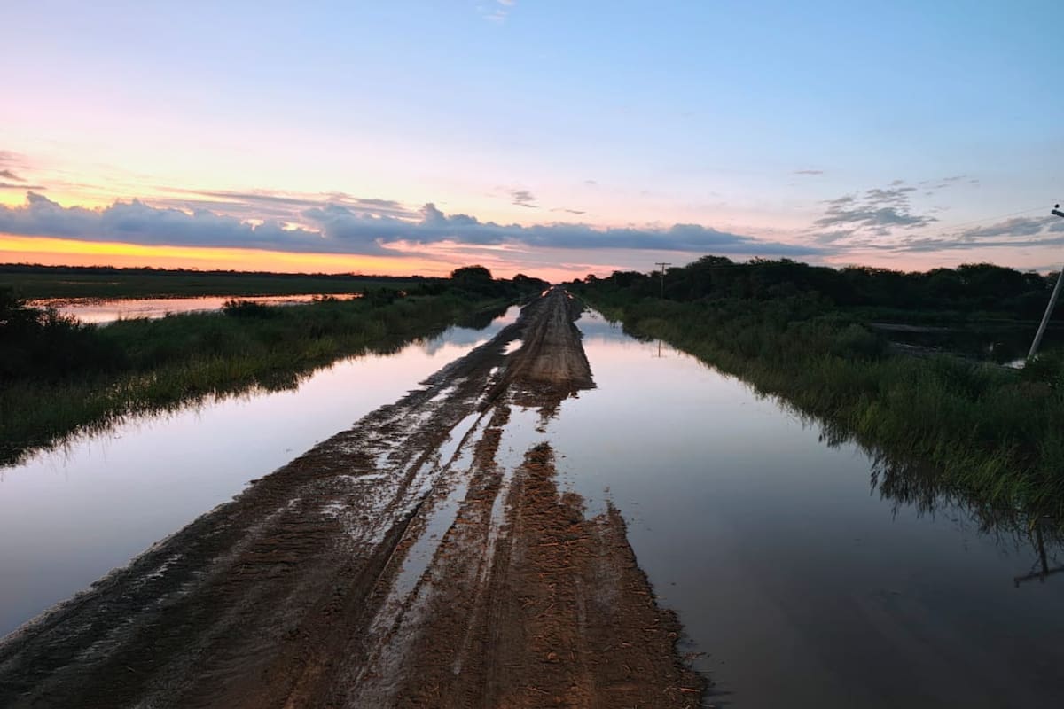 El productor detalla que estas imagenes pertenecen a la ruta provincial 91, el corredor que conecta a todas las localidades del departamento 9 de Julio. Ese tramo une Tostado con Pozo Borrado, Villa Minetti, Santa Margarita y Gregoria Pérez de Denis. "Es clave para el movimiento de la producción y el ingreso a los campos", dice