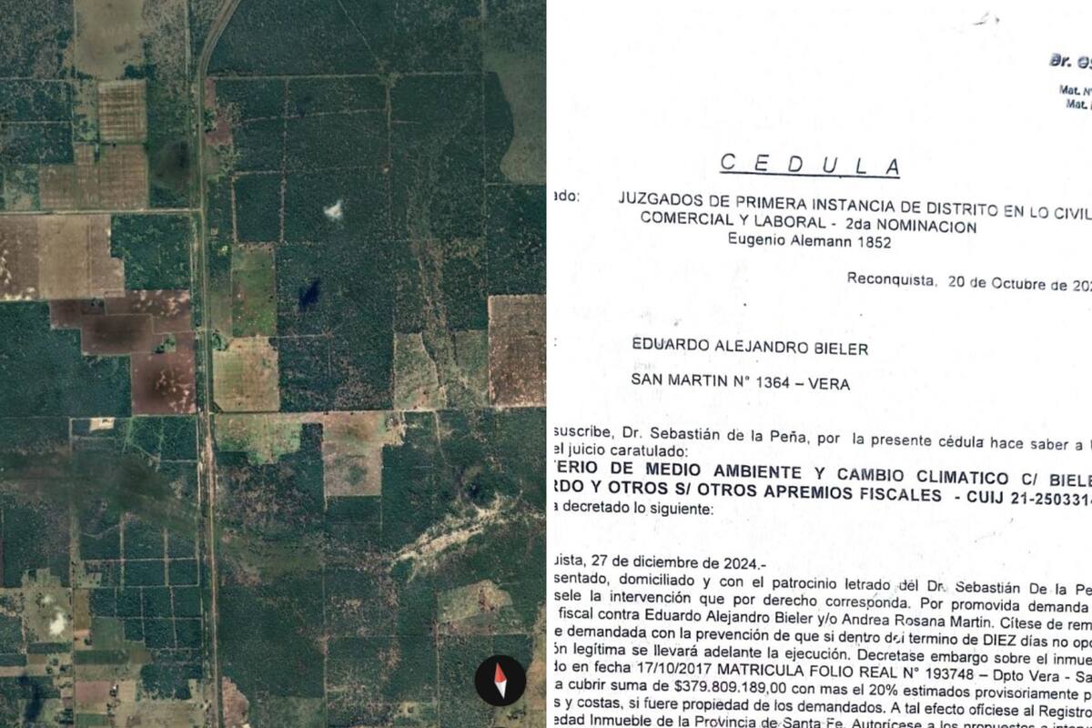 El productor Eduardo Bieler fue multado por hacer limpieza de caminos en su campo
