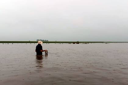 El productor ganadero Nelson Roche: "Vivimos una desesperación porque uno ama tanto a los animales que verlos sufrir así es muy difícil”