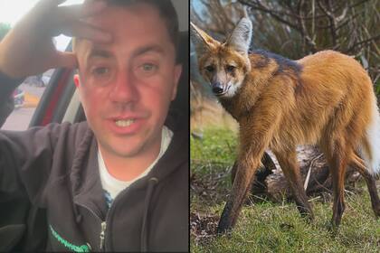 El productor Germán Pinteño contó en las redes sociales un insólito encuentro que tuvo con un animal en peligro de extinción