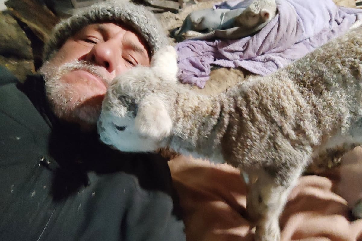 El productor Gustavo Almassio con uno de los corderitos rescatados del temporal