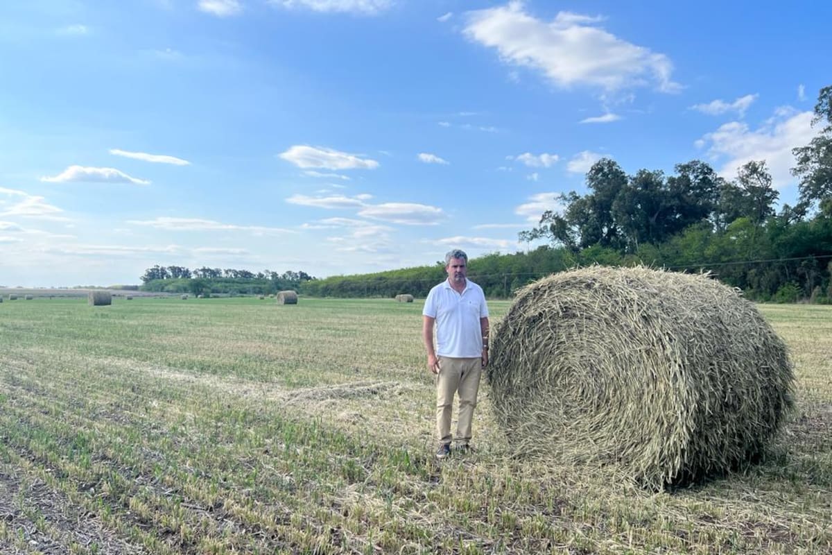 El productor Gustavo Frederking junto a un rollo de trigo, uno de los destinos que tuvo el cereal ante el deterioro por la sequía y las heladas