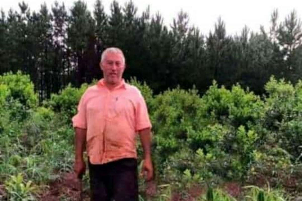 El productor Héctor Kattz en su chacra en Salto Encantado, en la provincia de Misiones. Gentileza Claudio Katiz