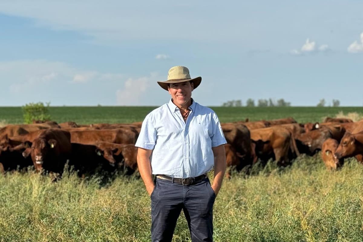 El productor Hernán Eggs