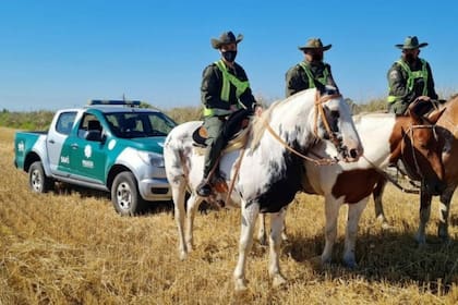 El productor hizo la denuncia ante Los Pumas, la guardia rural provincial. Imagen ilustrativa