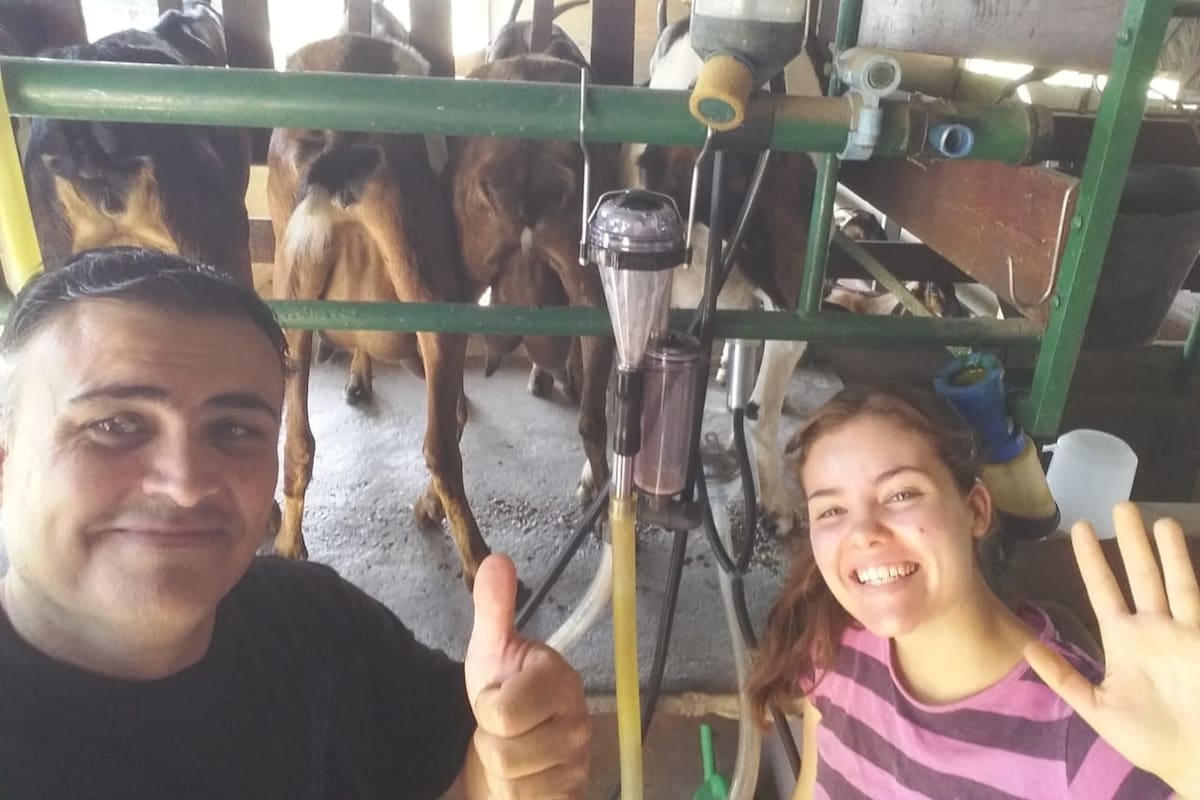 El productor Horacio Martínez y su hija Aylén en el tambo caprino